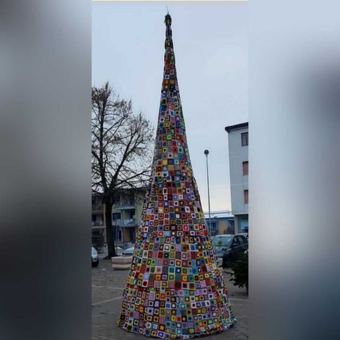 L'albero nella piazza di Calamandrana