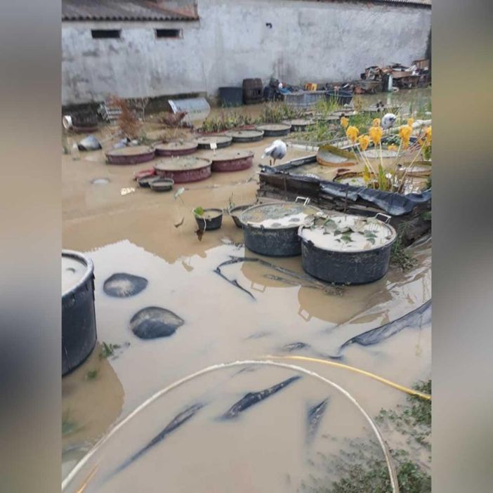 Lettera-denuncia del consigliere Mauro Bosia: “Pulite il rio di Quarto, ogni volta che piove i cortili vanno a bagno!” Lettera-denuncia del consigliere Mauro Bosia: “Pulite il rio di Quarto, ogni volta che piove i cortili vanno a bagno!”