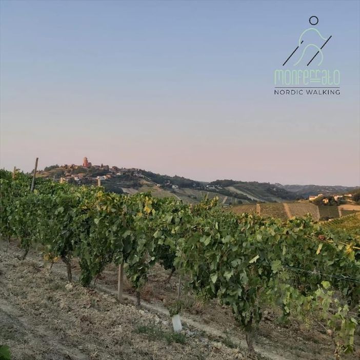 Monferrato Nordic Walking: ecco tutte le camminate in programma Monferrato Nordic Walking: ecco tutte le camminate in programma