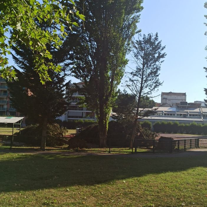 Roatto, alla scoperta de "La Vita Segreta degli Alberi": incontro con l'agronomo Luigi Delloste