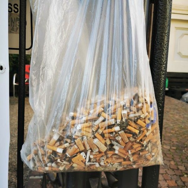 I giovani di Protect Our Home tornano a raccogliere rifiuti. "Nel 2022 non abbiamo ancora capito che dovremmo combattere tutti per difendere la nostra Terra, non i territori" I giovani di Protect Our Home tornano a raccogliere rifiuti. "Nel 2022 non abbiamo ancora capito che dovremmo combattere tutti per difendere la nostra Terra, non i territori"