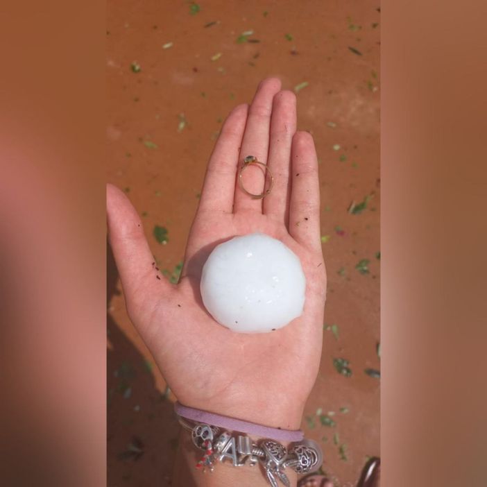 Forti grandinate su vaste zone di Cuneese, Astigiano, Torinese e Alessandrino: Cirio chiede stato di calamità