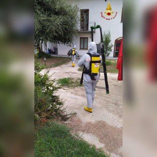 Troppi calabroni a Calamandrana, interviene il nucleo NBCR dei Vigili del Fuoco