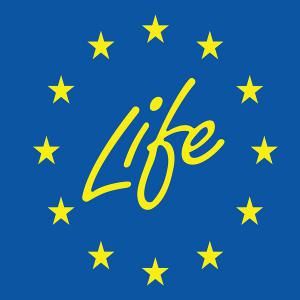 Programma LIFE: l'UE investe 121 milioni di € in progetti a favore dell'ambiente, della natura e dell'azione per il clima