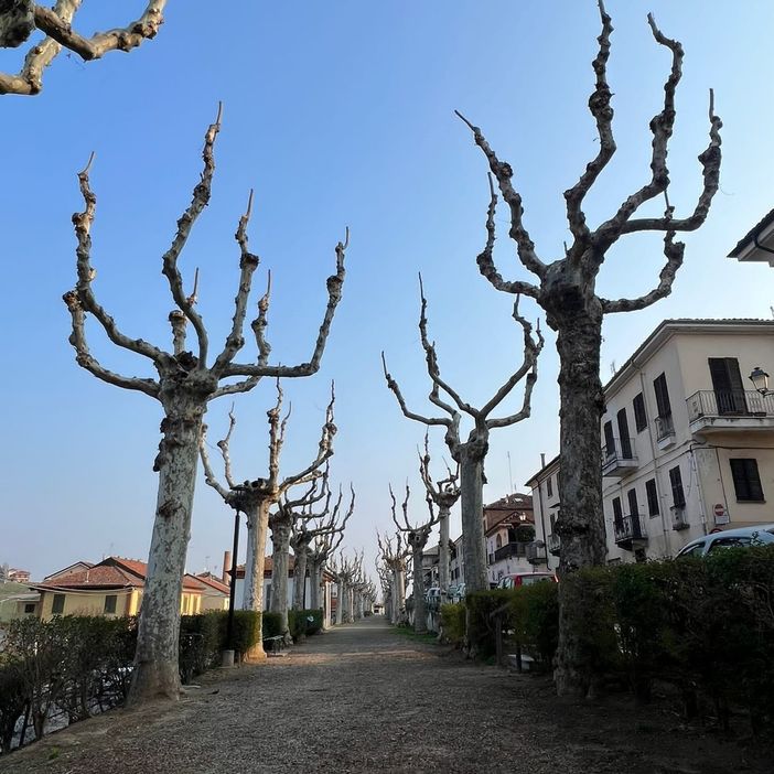 Anche il Comune di San Damiano partecipa, con altri 69 Comuni, a Puliamo insieme, sabato 25 marzo