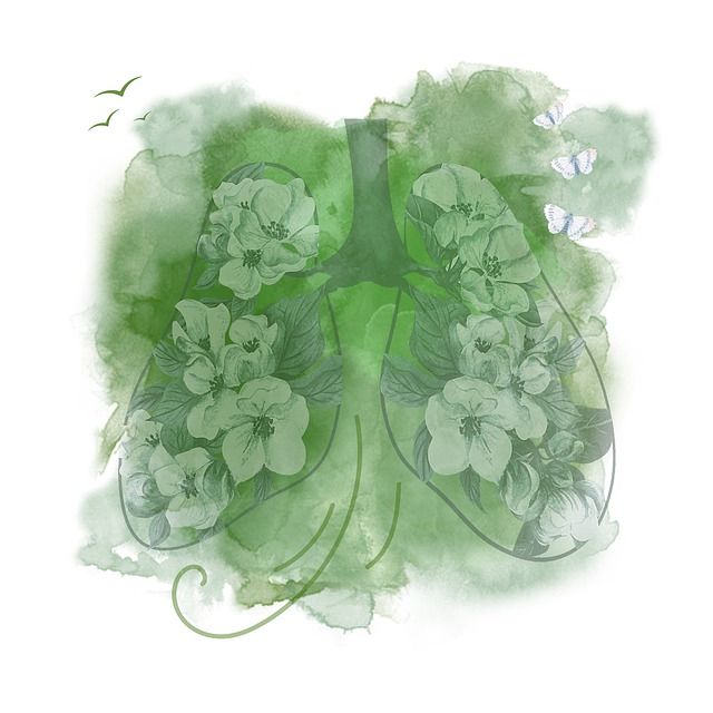 "Fiato corto": quali sono le cause e quando è spia di qualcosa che non va? "Fiato corto": quali sono le cause e quando è spia di qualcosa che non va?