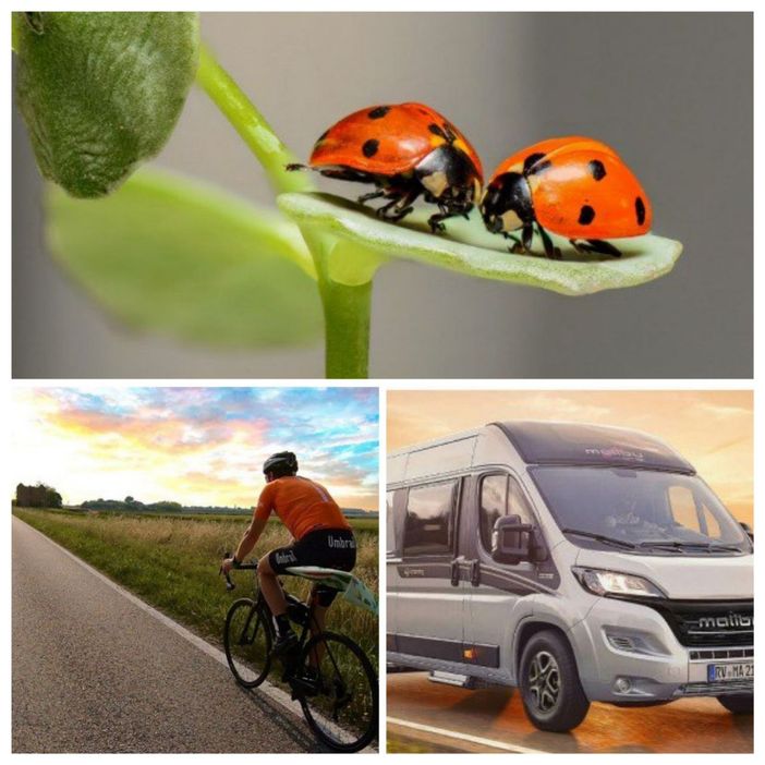 Martedì 4 luglio fa tappa ad Asti il giro d'Italia "20 Regioni in 20 Giorni a Impatto 0” Martedì 4 luglio fa tappa ad Asti il giro d'Italia "20 Regioni in 20 Giorni a Impatto 0”