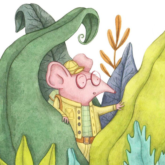 Venerdì 11 novembre alla Biblioteca Astense inaugurazione Spazio Verticale con l’illustratrice Cinzia Santi