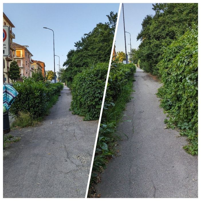 Siepi lasciate crescere "selvaggiamente", panchine invase dal verde e rifiuti abbandonati. Ancora segnalazioni dei lettori Siepi lasciate crescere "selvaggiamente", panchine invase dal verde e rifiuti abbandonati. Ancora segnalazioni dei lettori