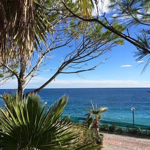 “Villaggio dei Fiori” di Sanremo: un soggiorno nel verde e fra i fiori, gustando i sapori della cucina ligure “Villaggio dei Fiori” di Sanremo: un soggiorno nel verde e fra i fiori, gustando i sapori della cucina ligure