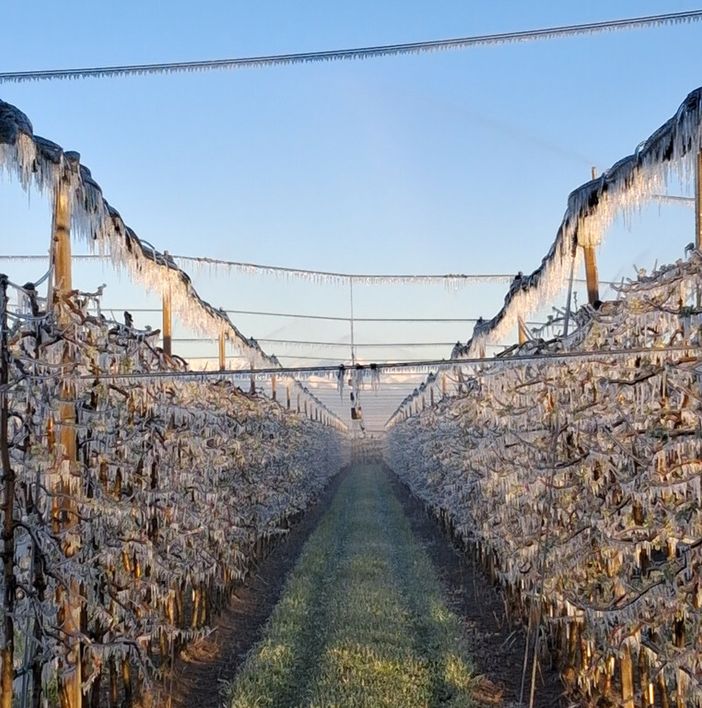 La situazione nelle piana di Cuneo (foto TargatoCN) La situazione nelle piana di Cuneo (foto TargatoCN)