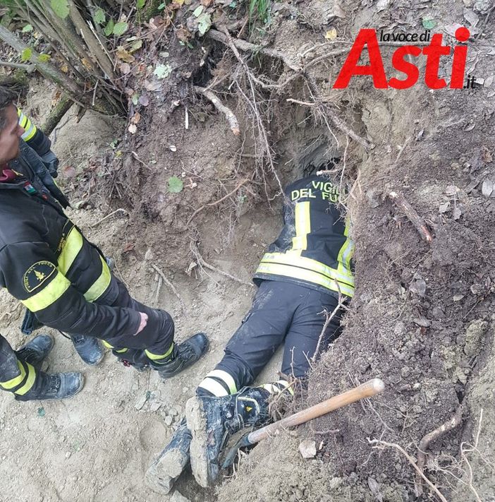 Le immagini a corredo di questo articolo fanno riferimento a questo specifico intervento in corso: non sono d'archivio