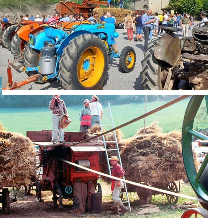 Accorneri di Viarigi celebra la cultura rurale con la prima Festa della Tradizione Contadina