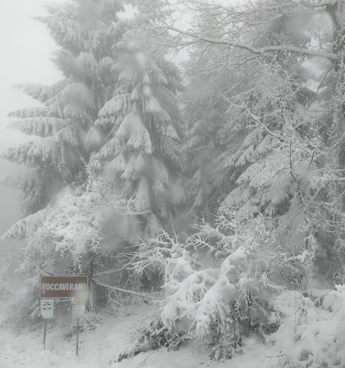 Iniziato al Campeggio di Roccaverano il corso di formazione per i sindaci under 35 dei comuni dell'Astigiano Iniziato al Campeggio di Roccaverano il corso di formazione per i sindaci under 35 dei comuni dell'Astigiano