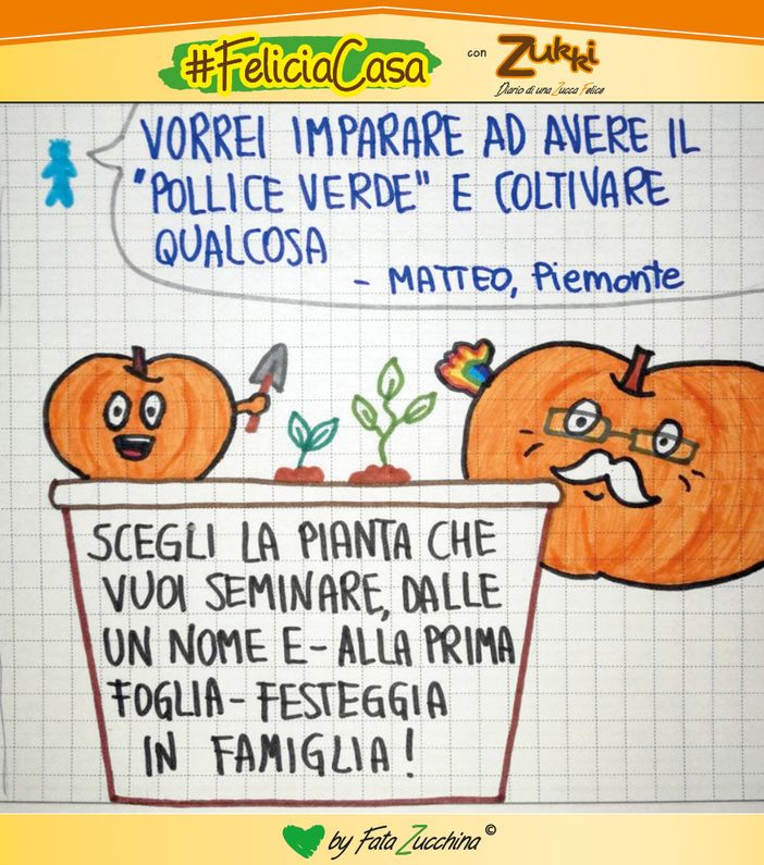 FavoleaCasa: Fata Zucchina legge e commenta “Pizza armonia” - racconto per l'anima