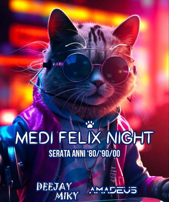 Una notte in discoteca a favore delle colonie feline di Asti Una notte in discoteca a favore delle colonie feline di Asti