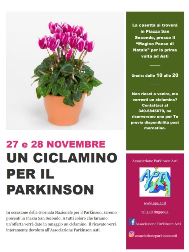 L'associazione Parkinson Asti al Magico Paese di Natale, con una casetta in piazza San Secondo