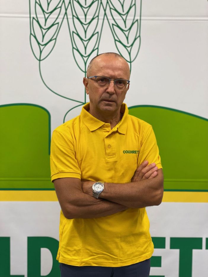 Corilicoltura: cos’ha compromesso l’annata?