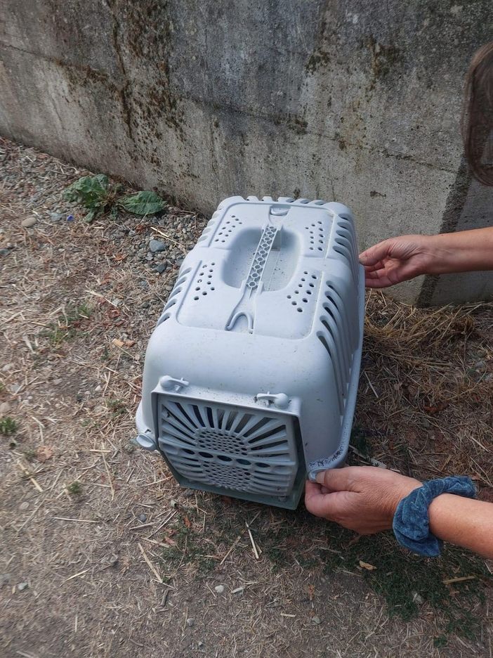 L'immagine dal profilo FB di uno dei volontari