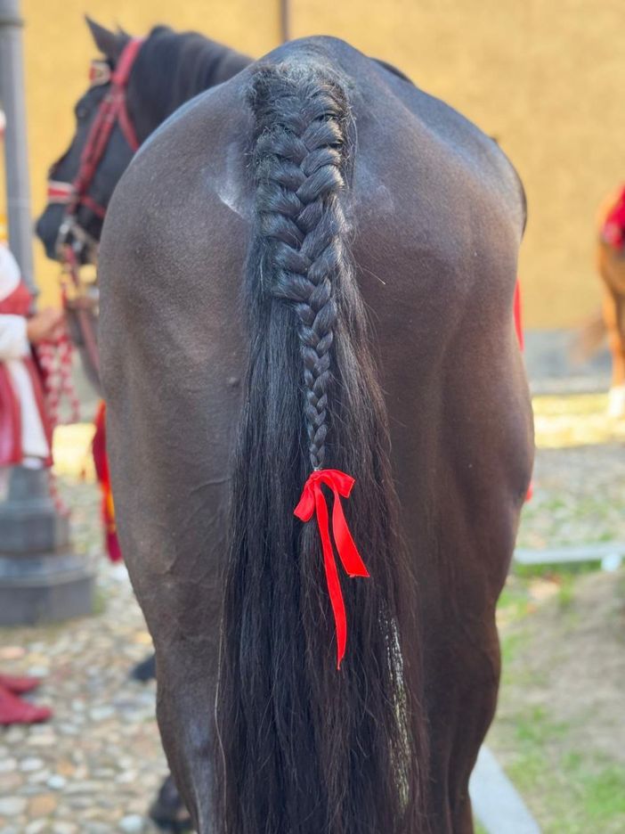 Il fiocco rosso contro la violenza sulle donne sul cavallo del Capitano del Palio Gianbattista Filippone