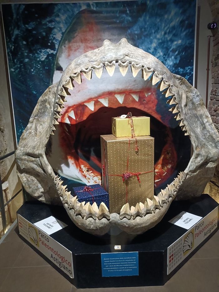 Il Museo Paleontologico dell'Astigiano presenta il calendario 2025: tombolate e laboratori per iniziare l'anno