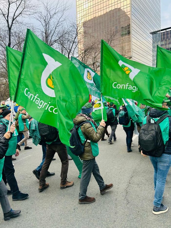 Benessere animale, Confagricoltura: bene la proroga della formazione obbligatoria in zootecnia Benessere animale, Confagricoltura: bene la proroga della formazione obbligatoria in zootecnia