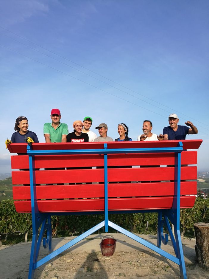 Si è chiusa la vendemmia 2019 per il Nizza Docg. Inaugurazione a Castelnuovo Belbo della Panchina gigante