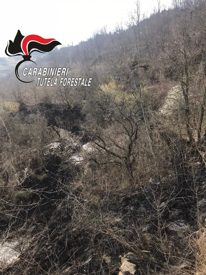 Vasto incendio boschivo a Roccaverano. Bruciato un ettaro e mezzo (AGGIORNAMENTO)