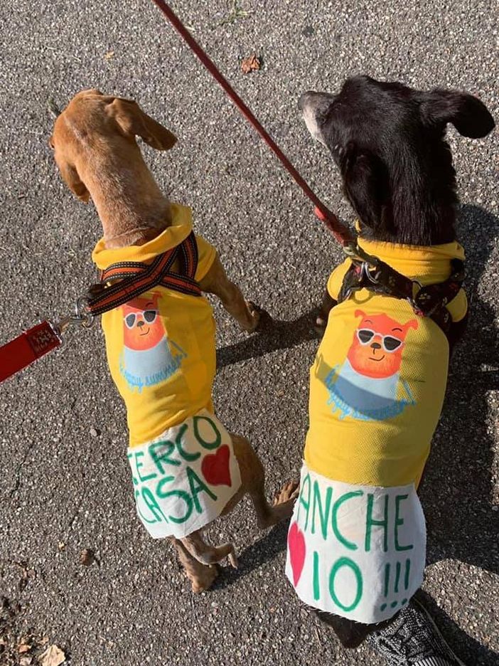 Una pagina Facebook per gestire l’emergenza animali rimasti soli in tempo di Covid-19