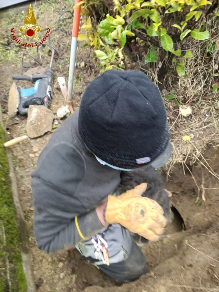 Asti: i Vigili del Fuoco salvano cucciolo di cane incastrato in un tubo