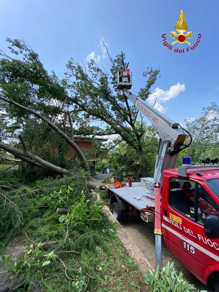 Vigili del fuoco impegnati nella rimozione di due grossi alberi caduti Vigili del fuoco impegnati nella rimozione di due grossi alberi caduti