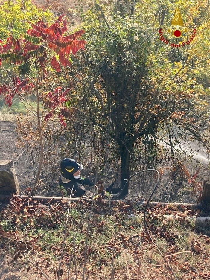 Robella: incendio sterpaglie nel giardino di una casa. Intervengono i vigili del fuoco