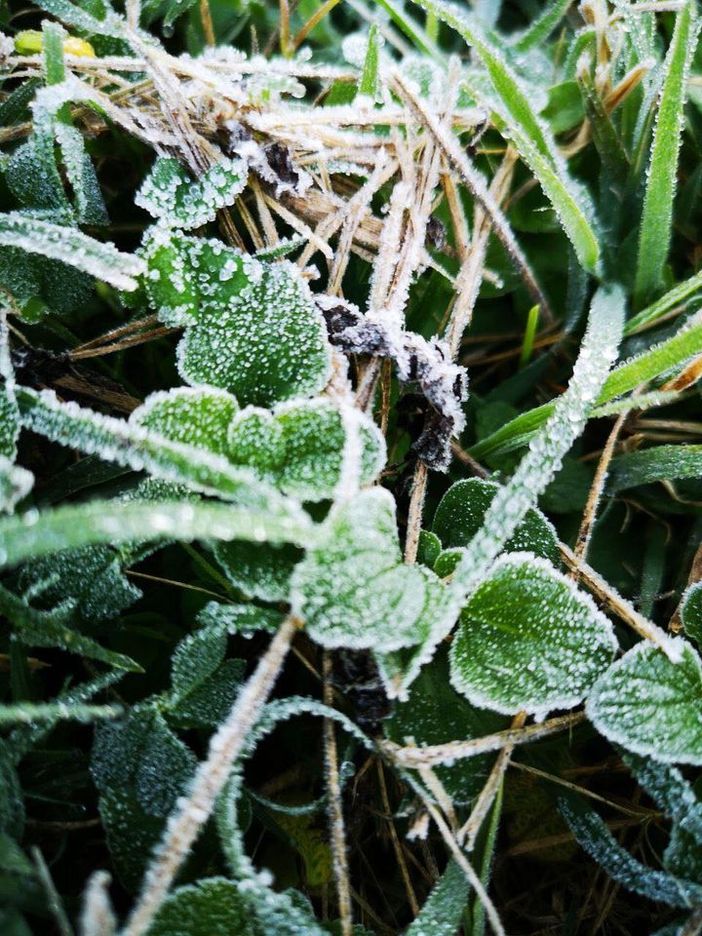 Foto di Luca Roffinela a Montafia e Franco da Serravalle d’Asti Dati Meteo Asti