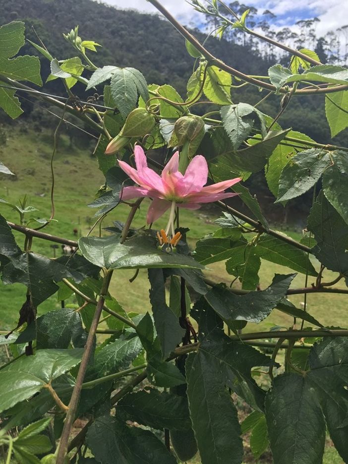 Cordoglio in città per la scomparsa di Cinzia Margarino Cordoglio in città per la scomparsa di Cinzia Margarino