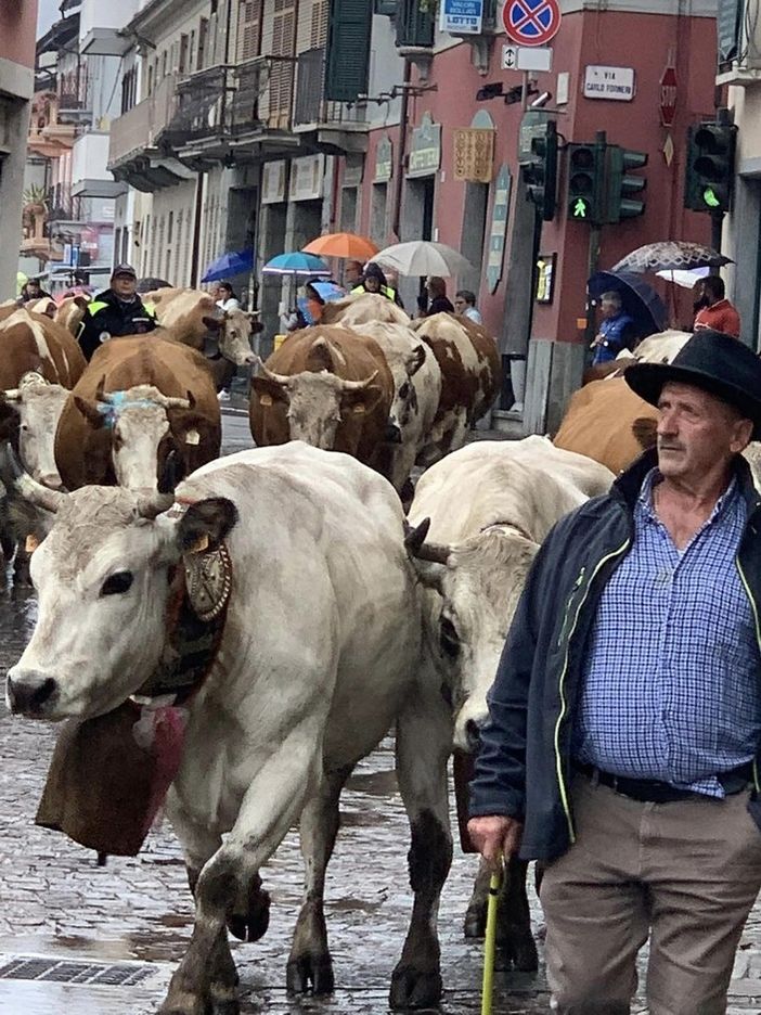 Carignano (TO): la Sagra del Ciapinabò batte anche la pioggia Carignano (TO): la Sagra del Ciapinabò batte anche la pioggia
