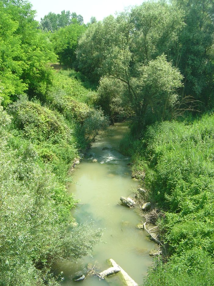 Un'immagine del torrente Versa