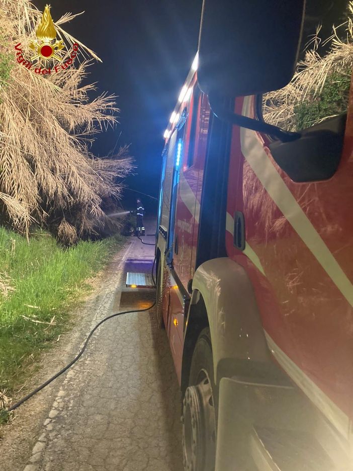 Incendio in un canneto ad Antignano