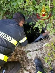 Immagine di repertorio