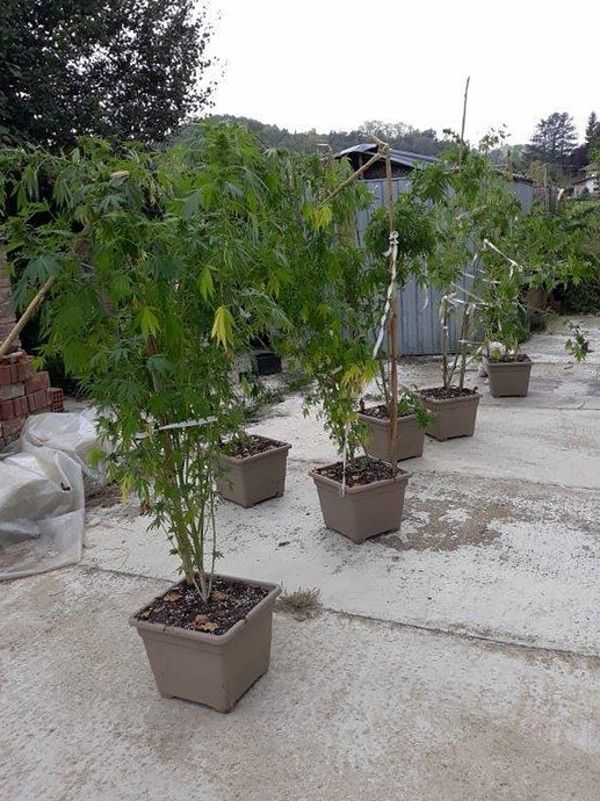 La Guardia di Finanza arresta un 38enne a Castell'Alfero