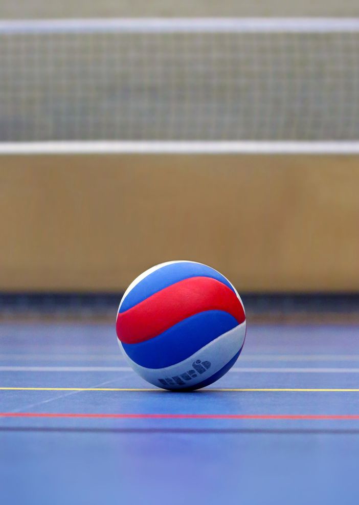 Pallavolo