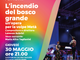 &quot;L’incendio del bosco grande&quot;, un’opera per la volpe Metà
