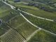 La rivista tedesca Weinwirtschaft premia la cantina Terre del Barolo come la migliore cooperativa italiana 2020