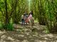 Un'estate passeggiando nel verde... in sella a simpatici asinelli