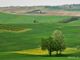 Ph Merfephoto - archivio