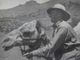 Scagliola sul dromedario nella guerra d'Africa