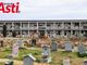 Galleria fotografica a cura di Merfephoto - Efrem Zanchettin