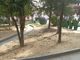 Siccità estiva ai giardini Alganon (Efrem Zanchettin)