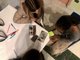 “Territori in movimento”, la ricerca del Piam sui bisogni dei giovani dei piccoli comuni del Basso Monferrato e lo sportello per aiutarli a restare sul territorio