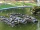 L’Associazione U.N.A e il suo impegno per natura e animali oggi torna con l'operazione di pulizia al laghetto dei giardini pubblici di Asti