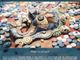 Giornata Mondiale della Terra 2024 “Pianeta vs Plastica”: proiezione del documentario “Waste Mandala” a Villanova d’Asti